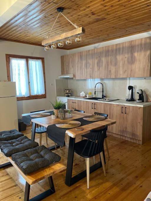 Politis' Wooden House Daire Vasilikí Dış mekan fotoğraf