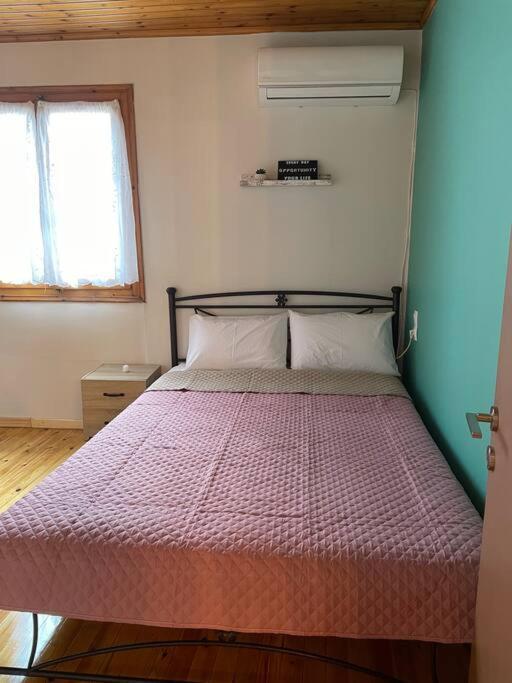 Politis' Wooden House Daire Vasilikí Dış mekan fotoğraf