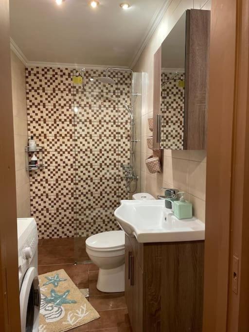 Politis' Wooden House Daire Vasilikí Dış mekan fotoğraf
