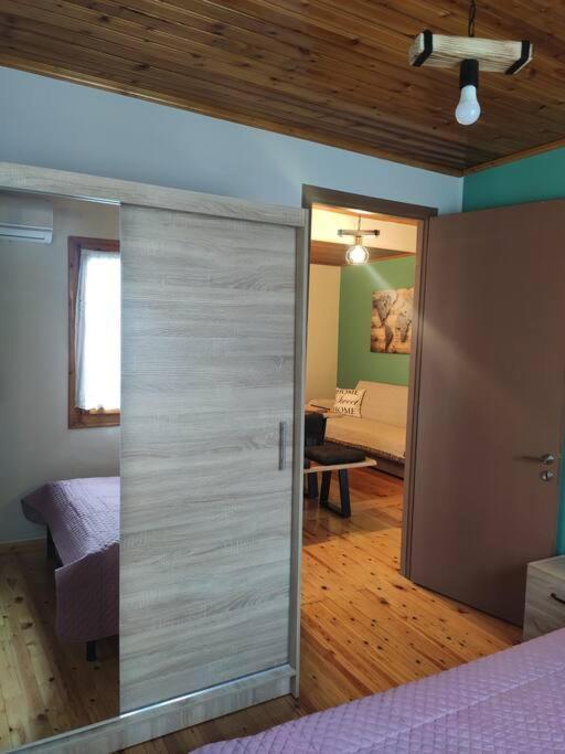 Politis' Wooden House Daire Vasilikí Dış mekan fotoğraf