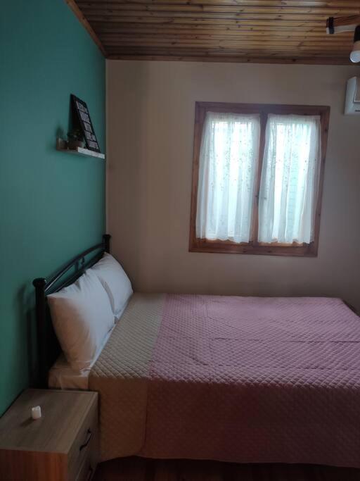Politis' Wooden House Daire Vasilikí Dış mekan fotoğraf